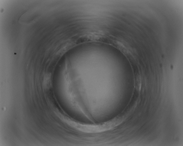 X0000086220034200704051252