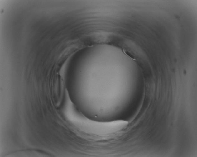 X0000086220035200704051252