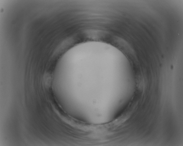 X0000086220036200704051252