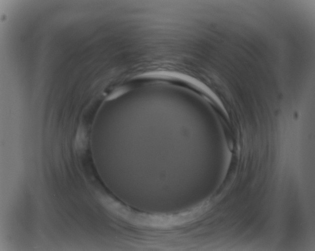 X0000086220037200704051252