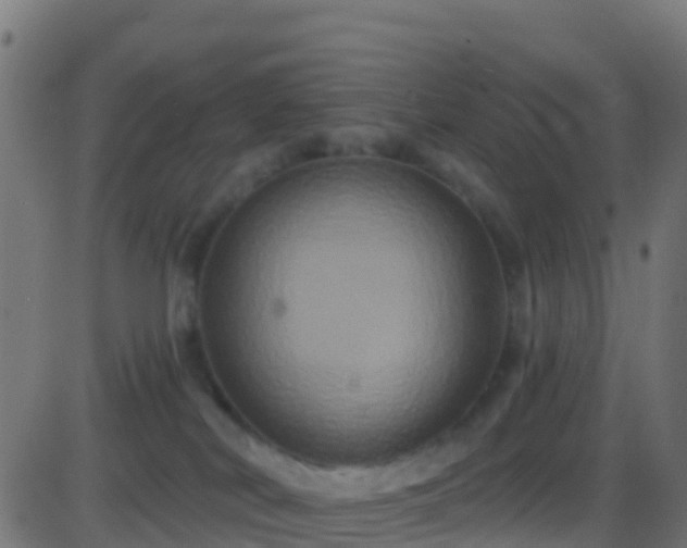 X0000086220038200704051251