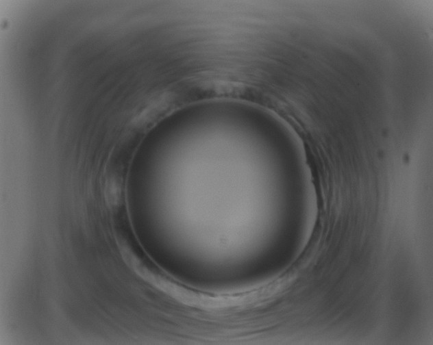 X0000086220039200704051251