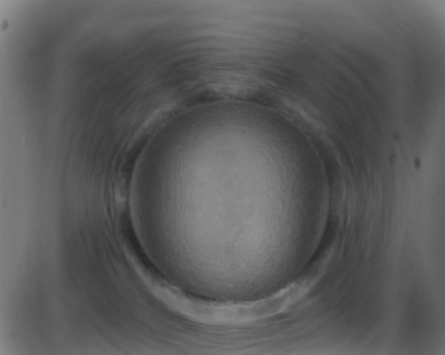 X0000086220040200704051251