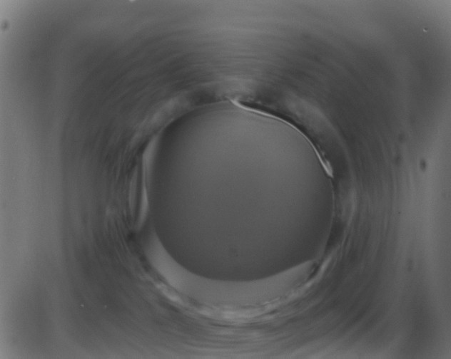 X0000086220041200704051251