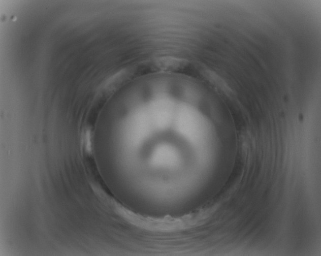 X0000086220042200704051251