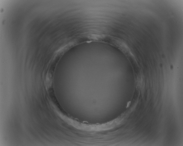 X0000086220043200704051251