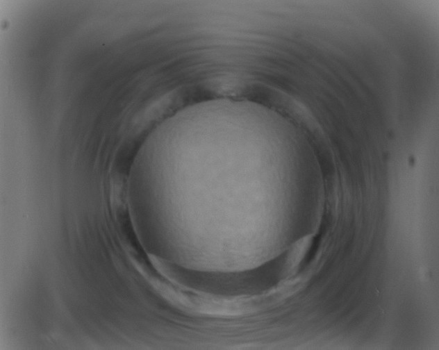 X0000086220044200704051251