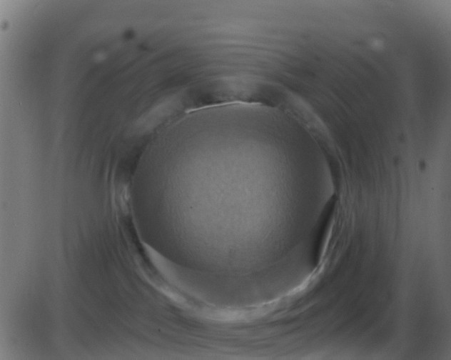 X0000086220045200704051251