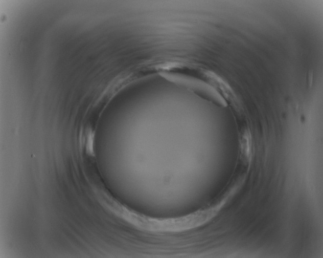 X0000086220046200704051251