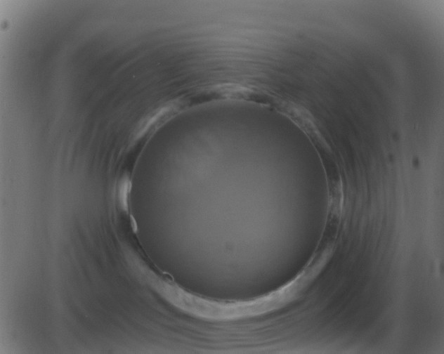 X0000086220047200704051251