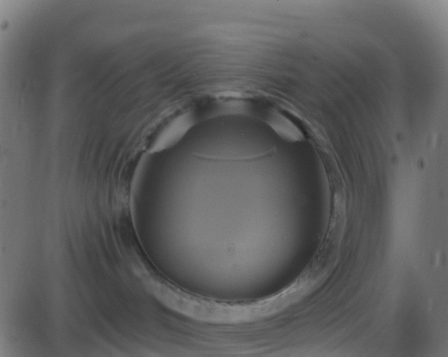 X0000086220048200704051251