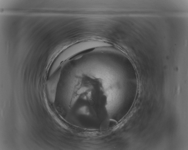 X0000086220049200704051251