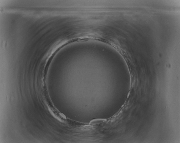 X0000086220050200704051251