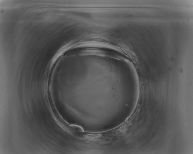 X0000086220051200704051251