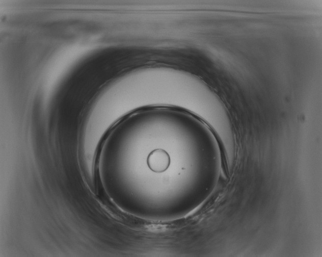 X0000086220052200704051251