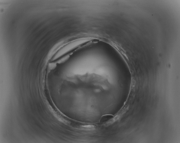 X0000086220053200704051251