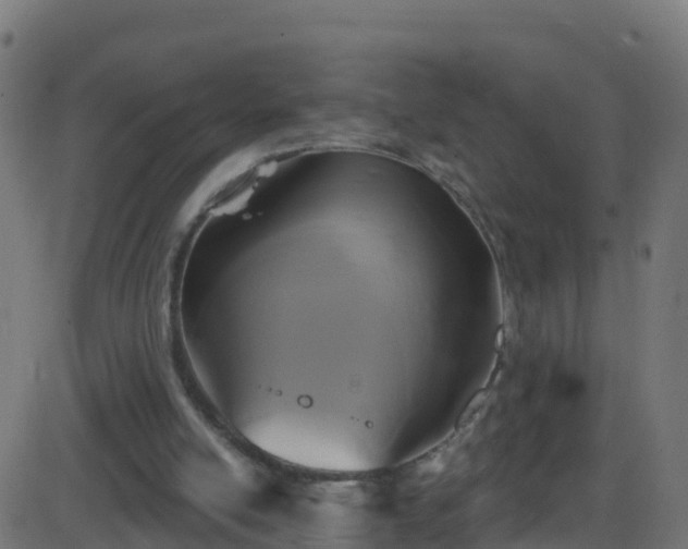 X0000086220054200704051251