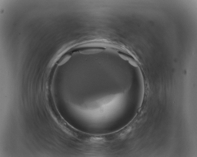 X0000086220055200704051251