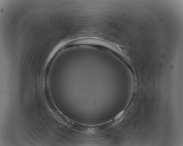 X0000086220056200704051251