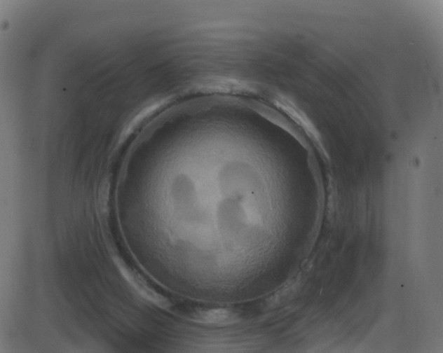 X0000086220058200704051251