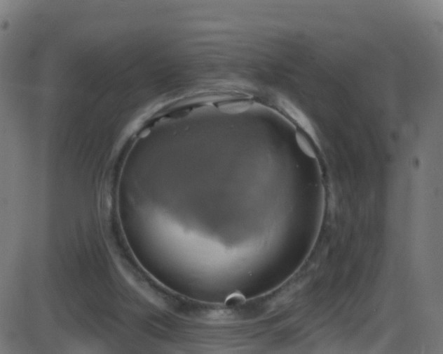 X0000086220059200704051251