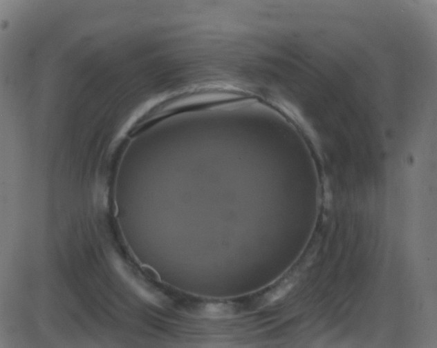 X0000086220060200704051251