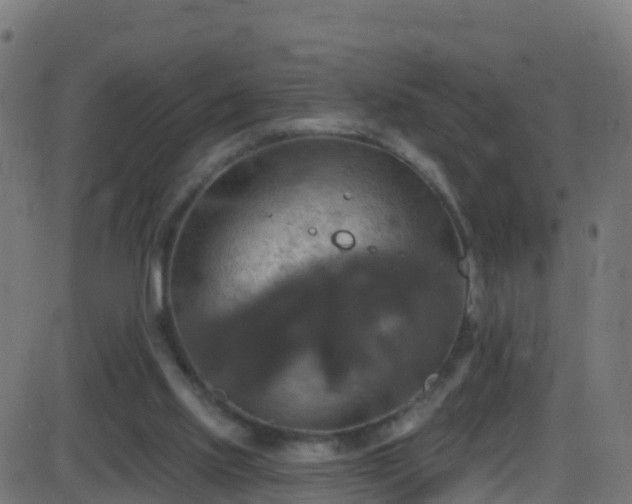 X0000086220061200704051251