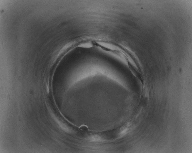 X0000086220062200704051251