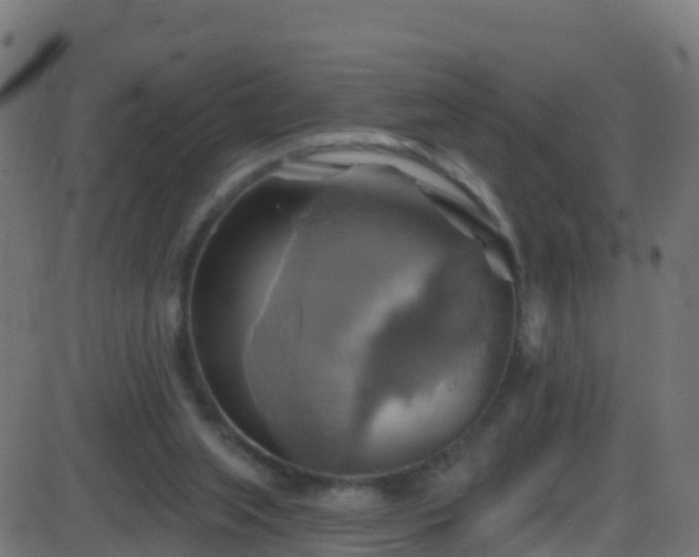 X0000086220063200704051251