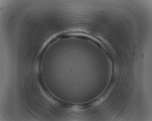 X0000086220064200704051251