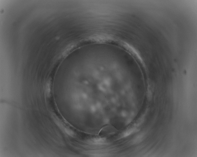 X0000086220065200704051251