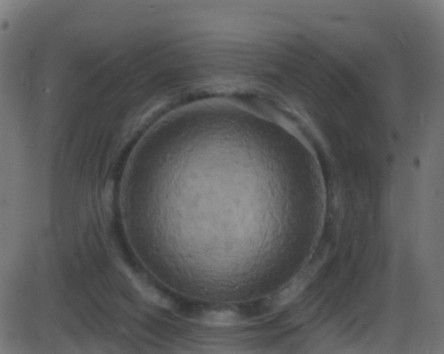 X0000086220066200704051251