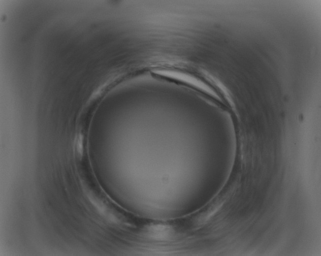 X0000086220067200704051251