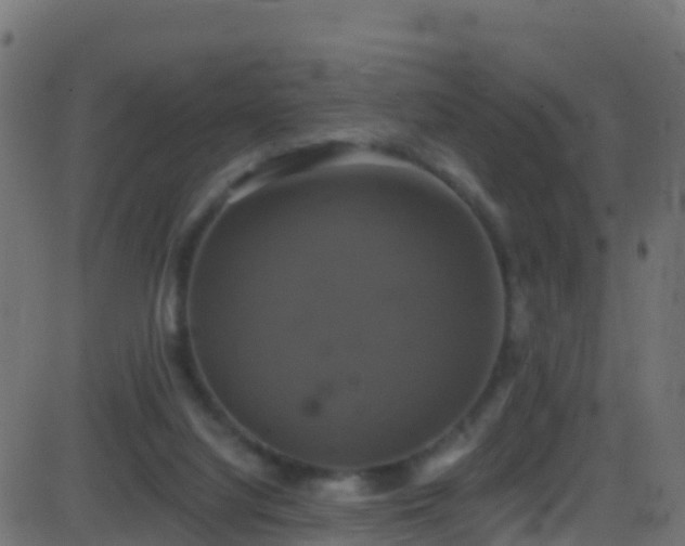 X0000086220068200704051251