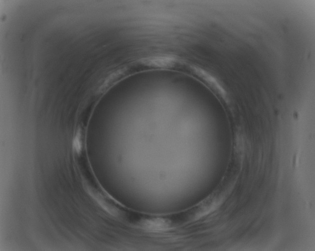 X0000086220069200704051251