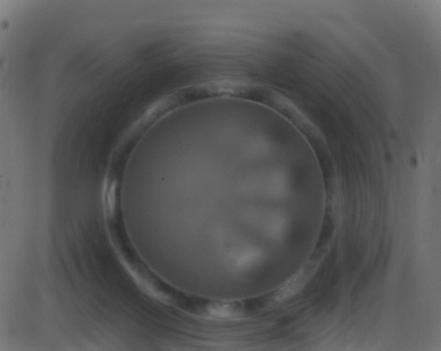 X0000086220070200704051251