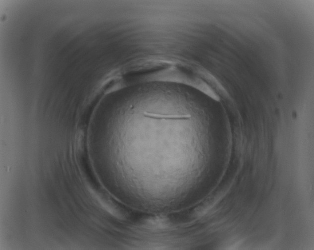 X0000086220071200704051251