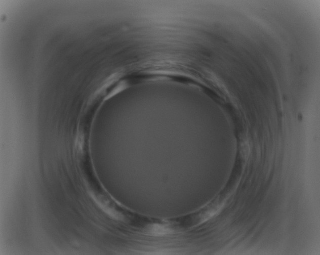 X0000086220072200704051251