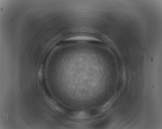 X0000086220074200704051251