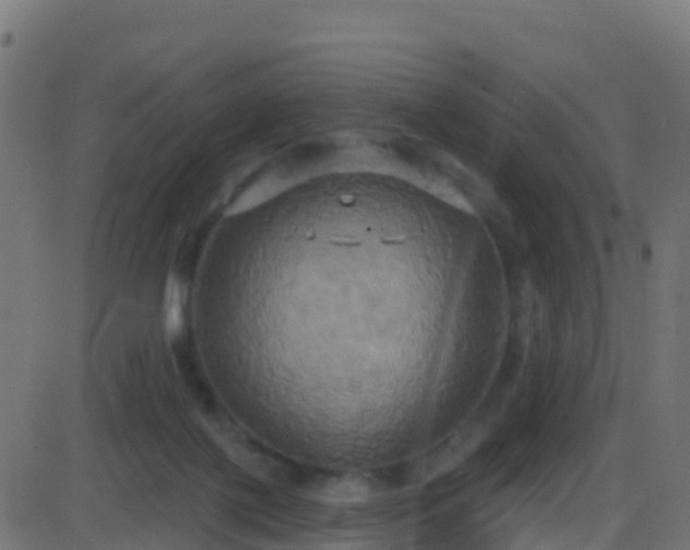 X0000086220075200704051251