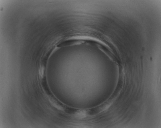 X0000086220076200704051251