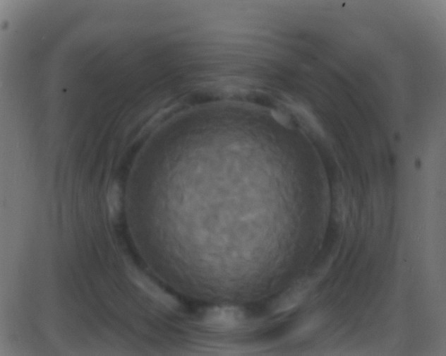 X0000086220077200704051251