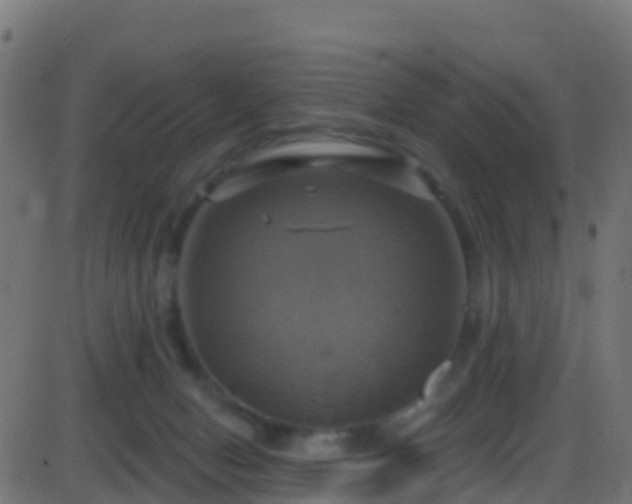 X0000086220078200704051251