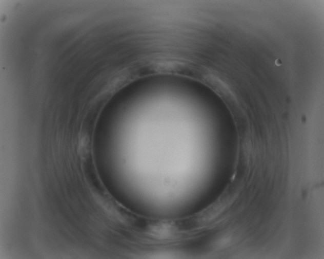 X0000086220079200704051251