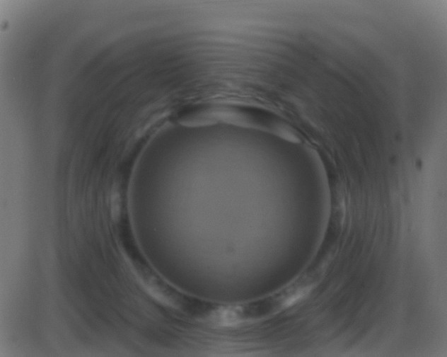 X0000086220080200704051251