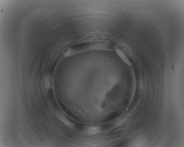 X0000086220081200704051251