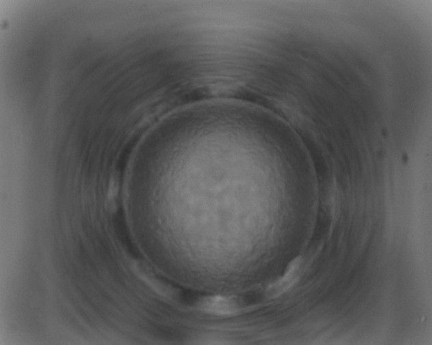 X0000086220082200704051251