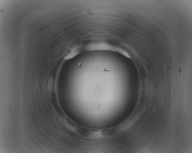 X0000086220083200704051251