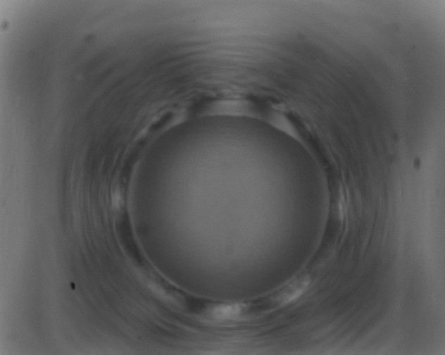 X0000086220084200704051251