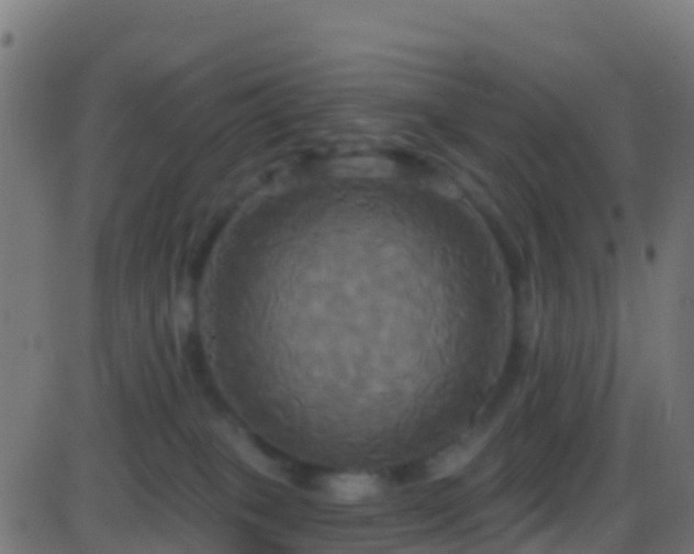 X0000086220085200704051251